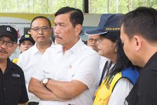 Gara-gara Hutan Rakyat Dicaplok, Luhut Wajibkan Pengusaha Sawit Lapor Izin Usaha Mulai 3 Juli 2023