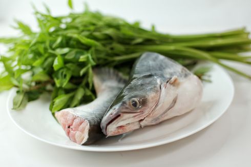3 Cara Hilangkan Amis Ikan Patin ala Penjual, Jangan Pakai Jeruk Nipis