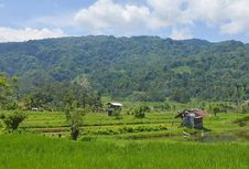Desa Wisata Koto Kaciak: Lokasi, Jam Buka, dan Tiket Masuk