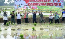 Biosalin Bikin Tanah Tidak Produktif Jadi Aktif, Mbak Ita Ingin Kecamatan Tugu Jadi Percontohan