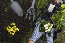 [KURASI KOMPASIANA] Hobi Berkebun untuk Anak-anak hingga Lansia