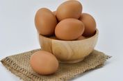 Telur Ayam Umbaran vs Telur dalam Kandang: Mana Lebih Ramah Iklim?