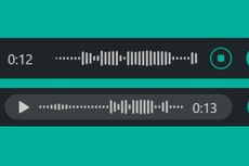 Pemutaran Voice Note WhatsApp Terlalu Cepat? Begini Cara Mengatasinya