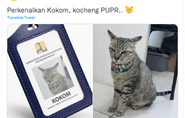 Kokom si kucing Kementerian PUPR