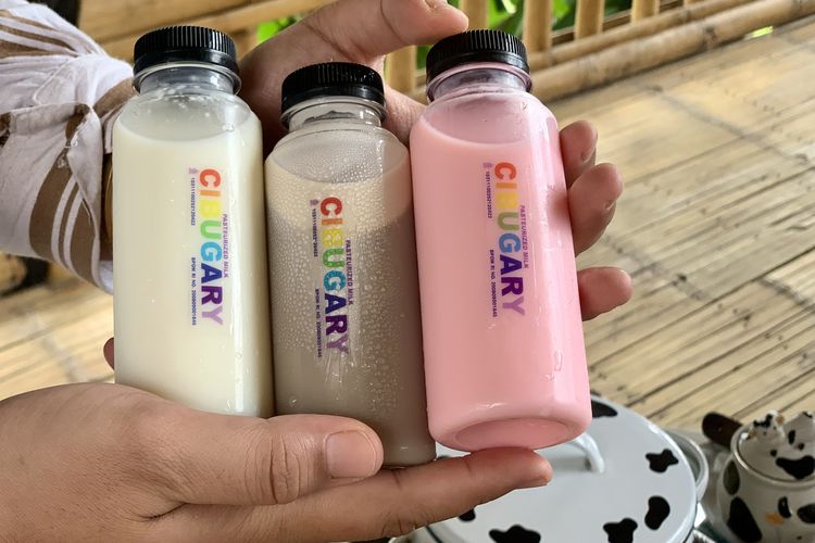Susu pasteurisasi dari susu sapi segar di Cibugary Farm, Pondok Ranggon, Jakarta Timur.