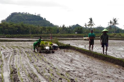 Ini Tantangan Mentan untuk Mahasiswa Jember