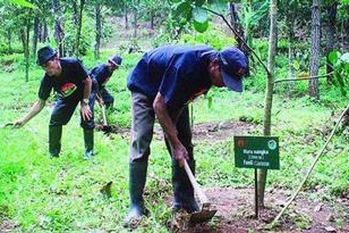 Warga Desa Bantaragung, Kecamatan Sindangwangi, Kabupaten Majalengka, Jawa Barat, mengusahakan wisata mandiri berupa curug (air terjun) dan bumi perkemahan di bekas hutan produksi yang beralih status menjadi taman nasional dan dikelola oleh Balai Taman Nasional Gunung Ciremai.