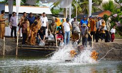 Kementerian KP, FAO, dan Pemprov Jateng Lepasliarkan 20 Kg Sidat Hasil Proyek IFish