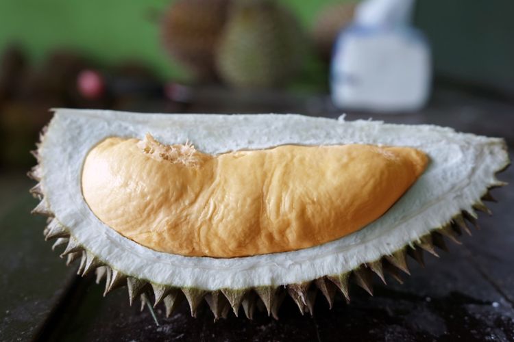 Ilustrasi buah durian bawor.