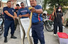 Pemerintah Beli Tanah dan Hotel untuk Kampung Haji, Jaraknya 2,5 Km dari Masjidil Haram