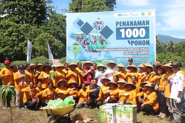  PT Antam lakukan penanaman 1.000 buah di Desa Geltoli, Kabupaten Halmahera Tengah. 