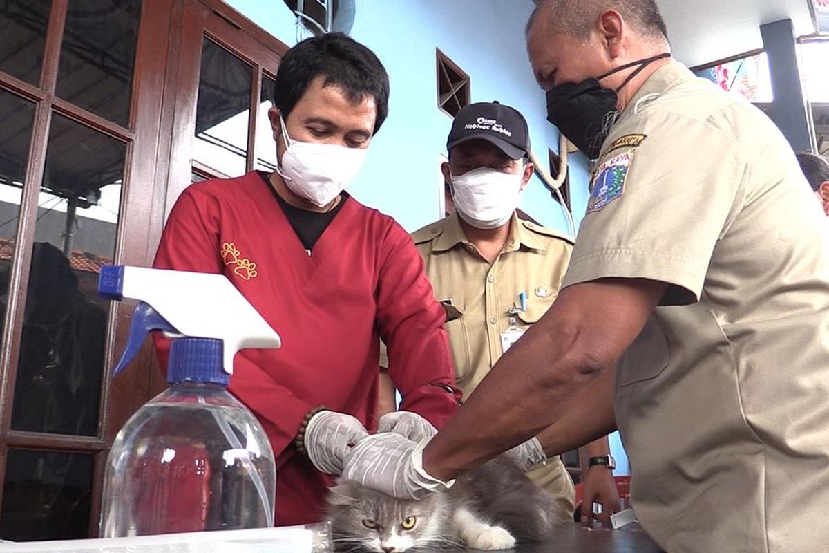 Suku Dinas Ketahanan Pangan, Kelautan dan Pertanian (Sudin KPKP) Kota Administrasi Jakarta Utara menggelar pelayanan vaksinasi rabies bagi hewan peliharaan warga Sunter Jaya di RW 06 Kelurahan Sunter Jaya, pada Senin (6/9/2021).