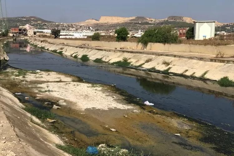 Sungai Biru di Tunis adalah salah satu sungai yang memiliki kandungan obat-obatan tertinggi, menurut kajian.
