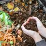 Mudah, Cara Membuat Pupuk dari Sampah Dapur