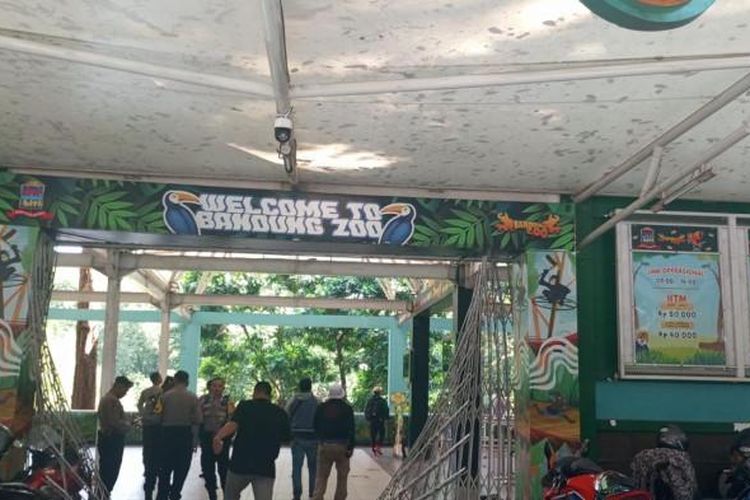 Kericuhan antara manajemen lama dan manajemen baru Kebun Binatang Bandung atau Bandung Zoo pecah hingga merusak gerbang lobi utama yang sedang ditutup sementara, Rabu (6/8/2025). 
