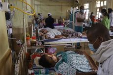 Peringatan WHO: Patogen Jamur Ancaman Utama Kesehatan Masyarakat