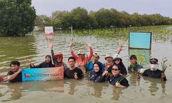 PT GNI Wujudkan Komitmen Keberlanjutan Lingkungan dengan Penanaman Mangrove