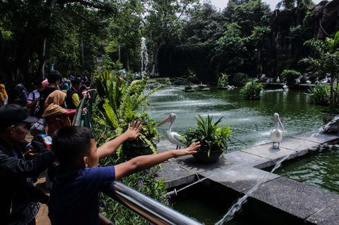 Warga Masih Takut, Pengunjung Tempat Wisata dan Mal di Bawah 50 Persen