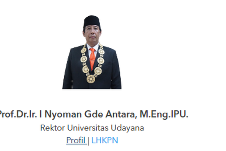 Rektor Universitas Udayana (Unud) Prof I Nyoman Gde Antara