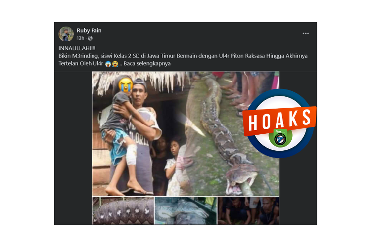 Hoaks, siswa SD di Jatim tewas dimangsa ular piton raksasa