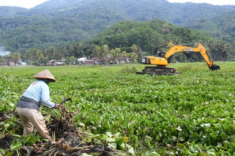 Revitalisasi Rawa Pening menggunakan alat berat.