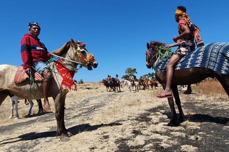 Parade Kuda Sandel digelar di Savannah Puru Kambera, Kanantang, Sumba Timur, Nusa Tenggara Timur, Jumat (12/7/2019)