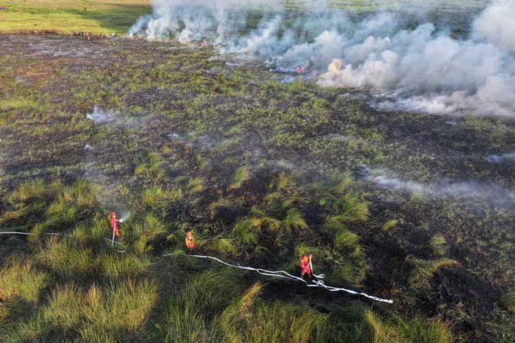Karhutla Masih Membara, Dinkes Sumsel Antisipasi Lonjakan Kasus ISPA