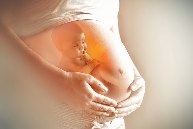 Ilustrasi mikroplastik ditemukan dalam plasenta wanita hamil. Ilmuwan menyebut wanita hamil sedang mengandung bayi cyborg, karena adanya campuran entitas biologis dan entitas anorganik.