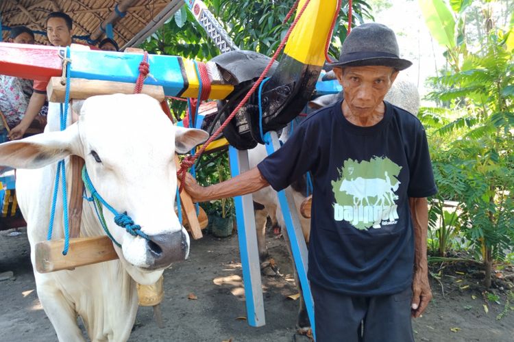 Katiman (64) dengan gerobak sapi atau bajingannya yang masih beroperasi mengangkut wisatawan di Omah Kecebong, Desa Cebongan, Kabupaten Sleman, DIY, Rabu (9/5/2018)
