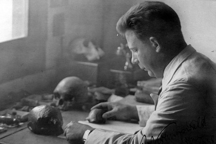 Gustav Heinrich Ralph von Koeningswald meneliti fosil tengkorak anak-anak yang ditemukannya di Jawa pada tahun 1938.