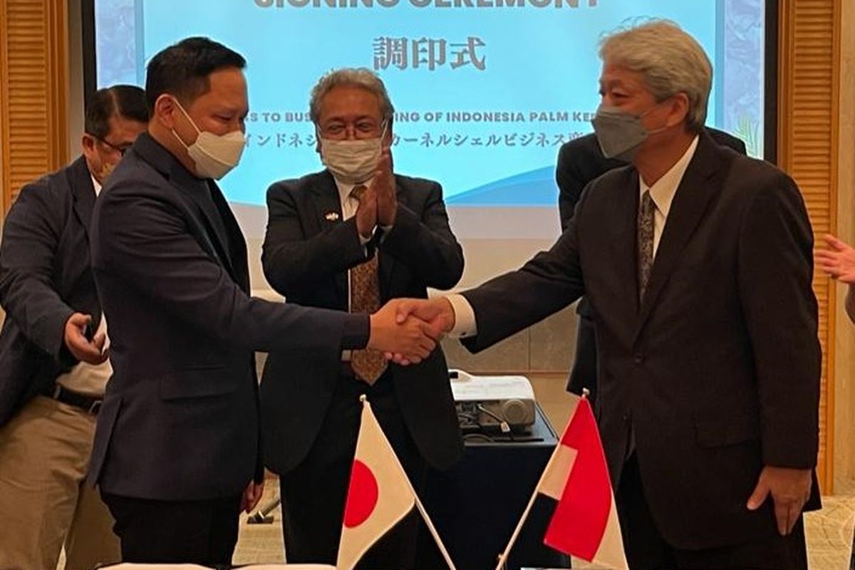 RI bidik ekspor produk biomassa cangkang sawit ke  Jepang. 
