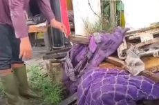 Hilang 3 Hari, Pria di Bangkalan Ditemukan Meringkuk di Dalam Sumur Kering