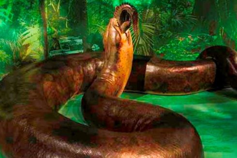 Capai 13 Meter, Titanoboa Jadi Ular Terbesar yang Pernah Hidup di Bumi