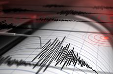 Gempa Bumi M 5 Guncang Pegunungan Arfak Papua Barat, Terasa hingga Manokwari
