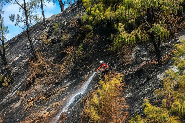 Kebakaran Bromo Mulai Padam, Petugas Sisir Bukit Cinta dan Pakis Bincil
