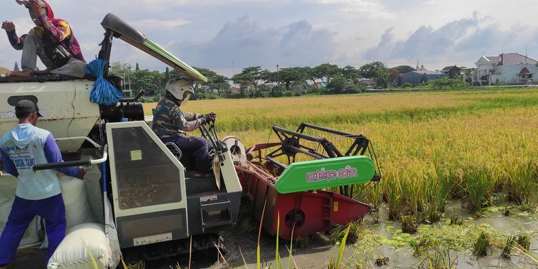 Proses panen padi menggunakan combine di Desa Jogoloyo, Kecamatan Wonosalam, Kabupaten Demak, Jawa Tengah, Senin (4/3/2024). 