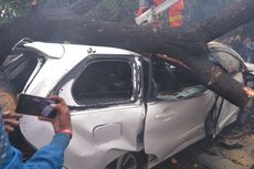 Dua Mobil Ringsek Tertimpa Pohon Tumbang di Jatinegara Kaum