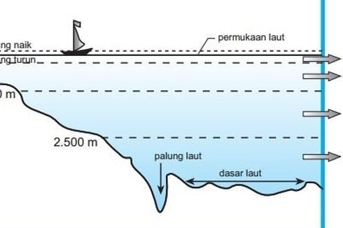 Zona Laut Berdasarkan Kedalamannya