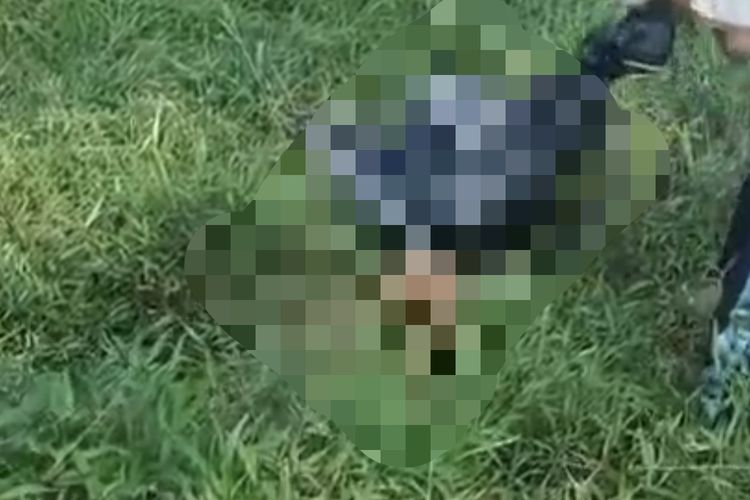 Bocah di Jasinga Bogor Ditemukan Tewas, Diduga Digigit Anjing Pemburu Babi Hutan