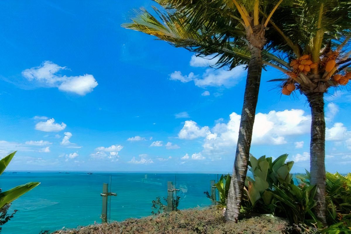 Panorama pesisir Balikpapan, bisa menjadi potensi wisata bahari Balikpapan yang notabene sebagai penyangga IKN Nusantara di Kalimantan Timur. Kali ini Balikpapan tawarkan wisata keliling Teluk Balikpapan memakai kapal pinisi khas Nusantara.