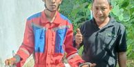 Selama 5 Hari Sejumlah Ayam Mati, Ular Kobra Jawa Meresahkan Warga Gunungkidul
