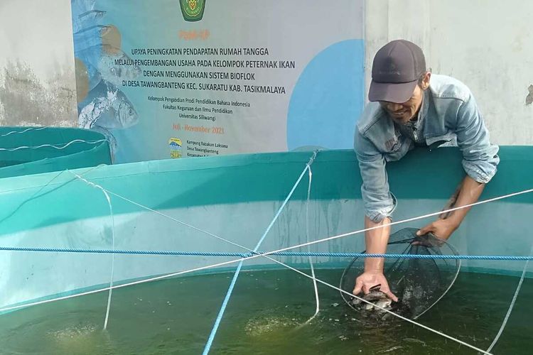Salah satu dosen sedang membina para petani ikan sistem bioflok di lahan sempit pekarangan sebuah keluarga di Tawangbanteng, Kabupaten Tasikmalaya, Jawa Barat, Senin (29/11/2021).