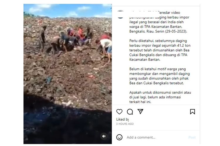 Video viral warga gali daging yang sudah dimusnahkan Bea Cukai di Bengkalis