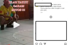 Viral, Video Ular Takut Garam Disebut Mitos, Benarkah Demikian?