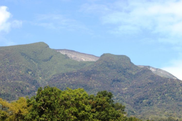 Taman Nasional Gunung Gede Pangrango Jawa Barat
