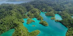 Surga Tersembunyi dari Halmahera Selatan itu Bernama Pulau Tawale