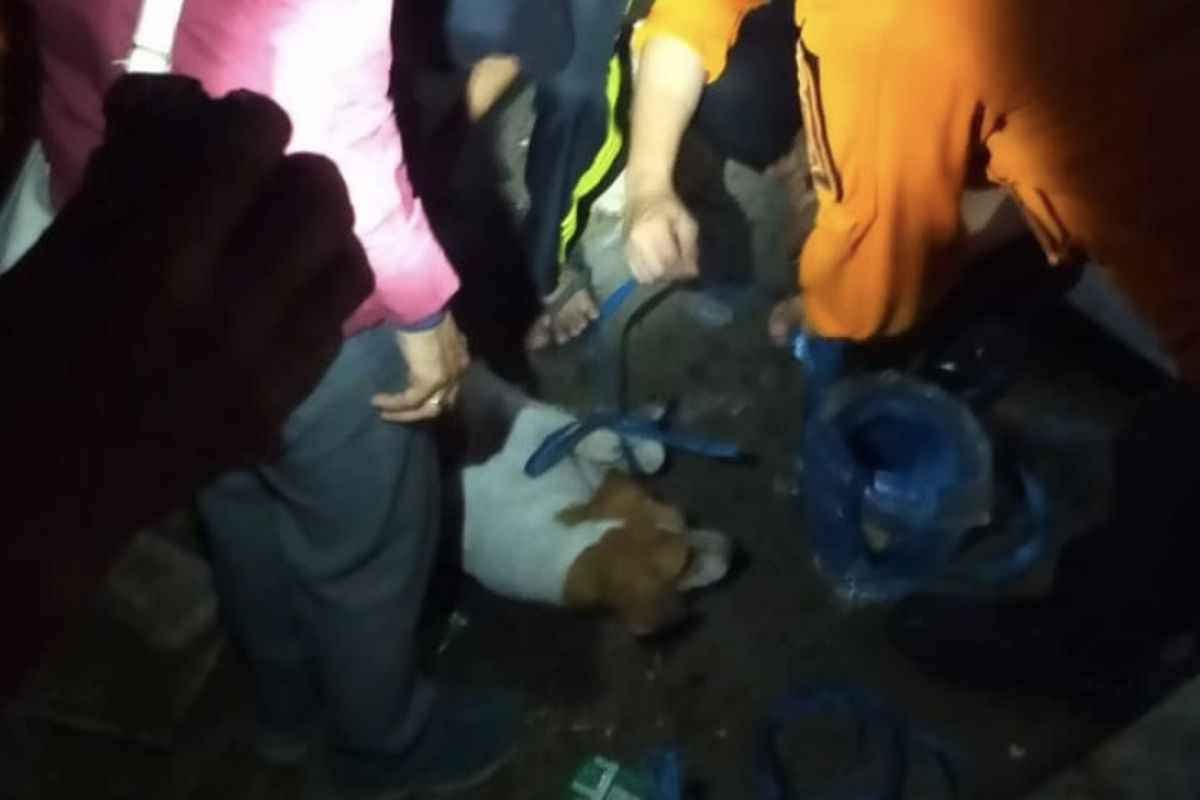 Dog Lovers Surabaya saat mengevakuasi anjing milik Yohanes Alexander setelah ditinggal meninggal dunia, Sabtu (12/4/2025)