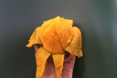 Ini Perbedaan Mangga Alpukat dengan Mangga Pisang...