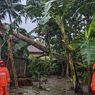 Hujan Deras Angin Kencang, 30 Rumah di Kebumen Rusak Tertimpa Pohon