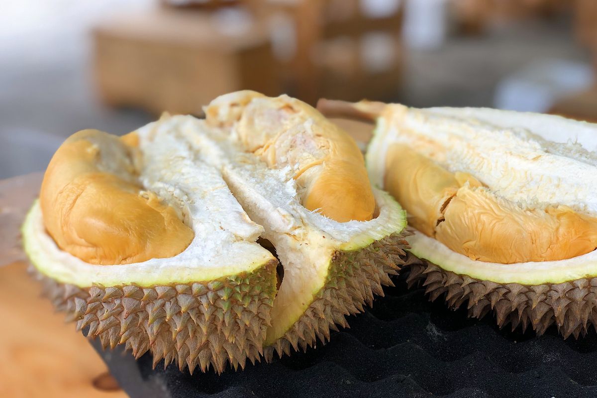 Ilustrasi durian.